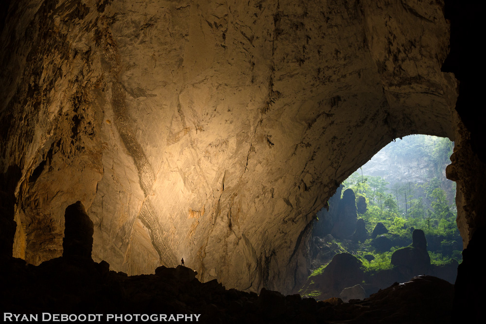 Bamboo standing in a passage in Hang Son Doong looking out towards the second doline.